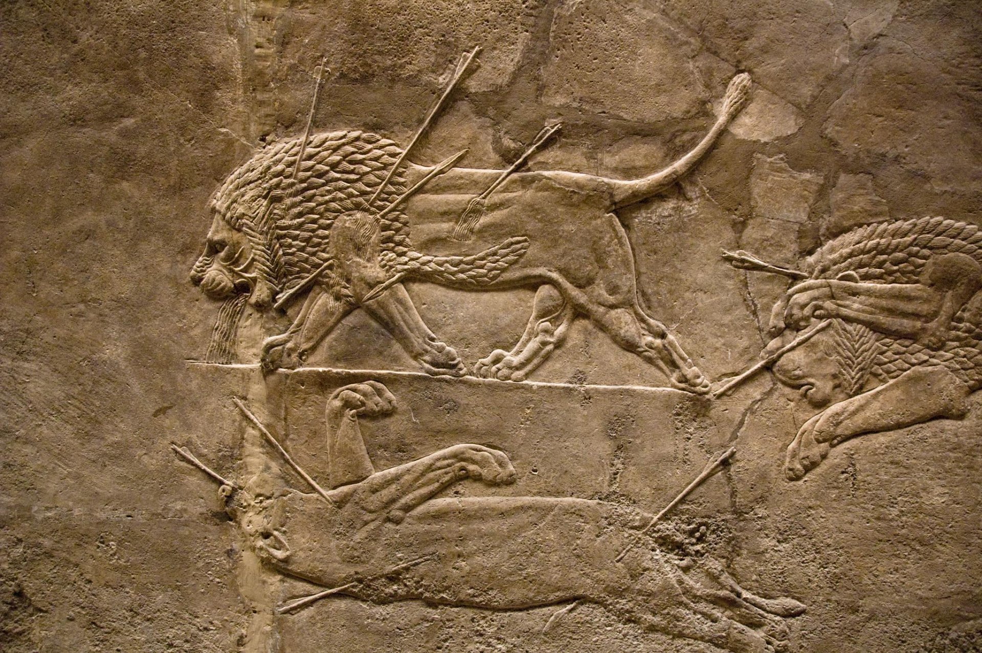 HD PC desktop wallpaper featuring an artistic Assyrian lion hunt relief carved in ancient stone, showcasing dynamic lions and hunters in motion.