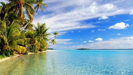 A vibrant HD wallpaper featuring a serene tropical beach with palm trees, clear turquoise waters, and a bright blue sky dotted with clouds, showcasing the beauty of nature.