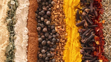 Close-up HD desktop wallpaper featuring vibrant rows of various herbs and spices, showcasing rich textures and colors in a food-themed background.