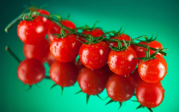 HD PC desktop wallpaper featuring a vibrant cluster of fresh, red tomatoes with water droplets against a smooth green background.