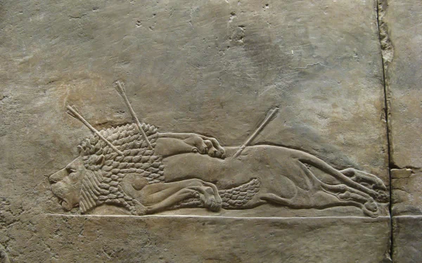 Artistic Assyria: Lion Hunts bas-relief showing a speared lion carved in stone, rendered as a 2K Quad HD PC desktop wallpaper and background.