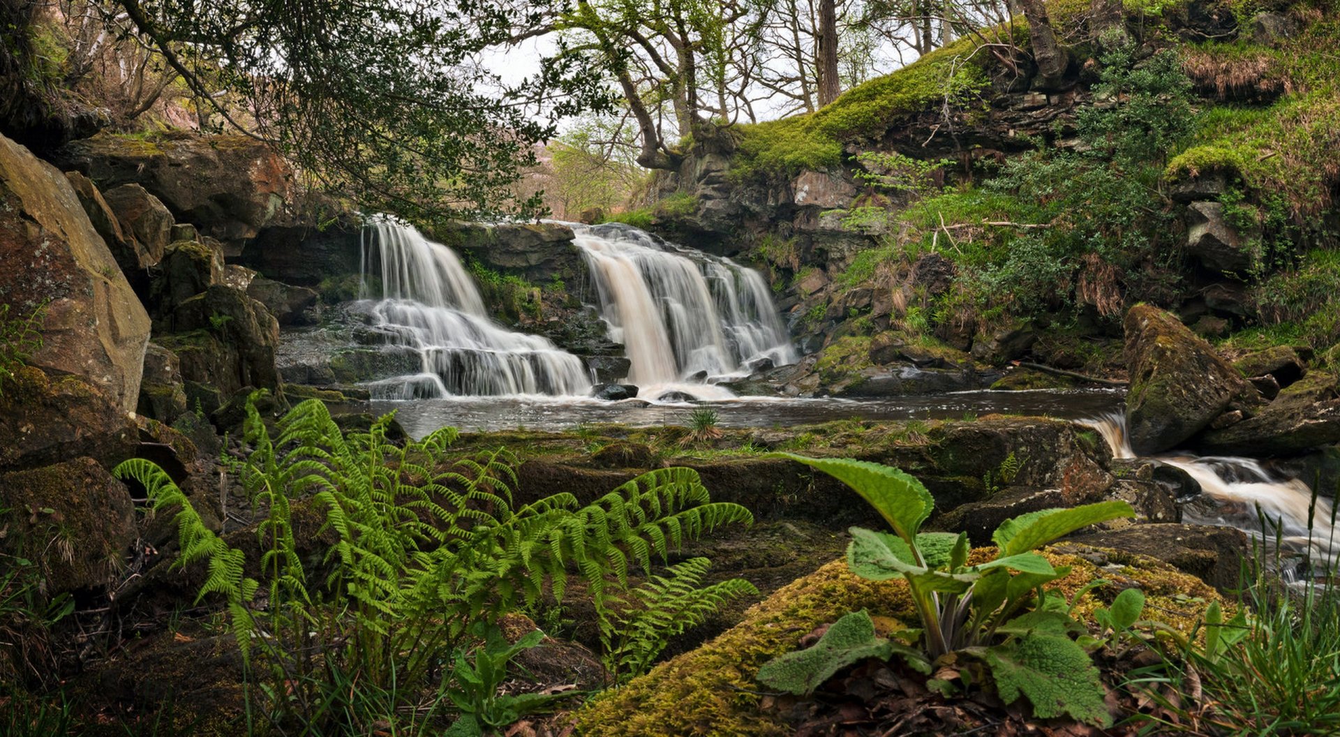 HD PC desktop wallpaper showcasing a serene waterfall cascading over moss-covered rocks, surrounded by lush greenery and vibrant ferns in a peaceful forest setting.