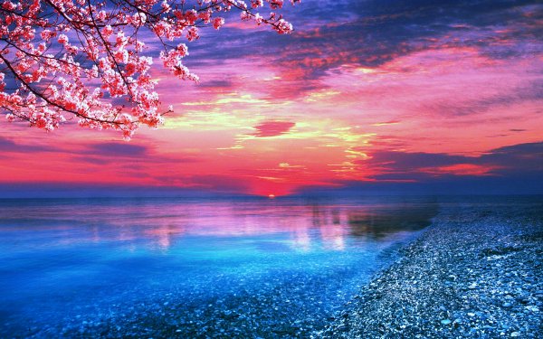 Earth Ocean Sunset Beach HD Wallpaper | Background Image