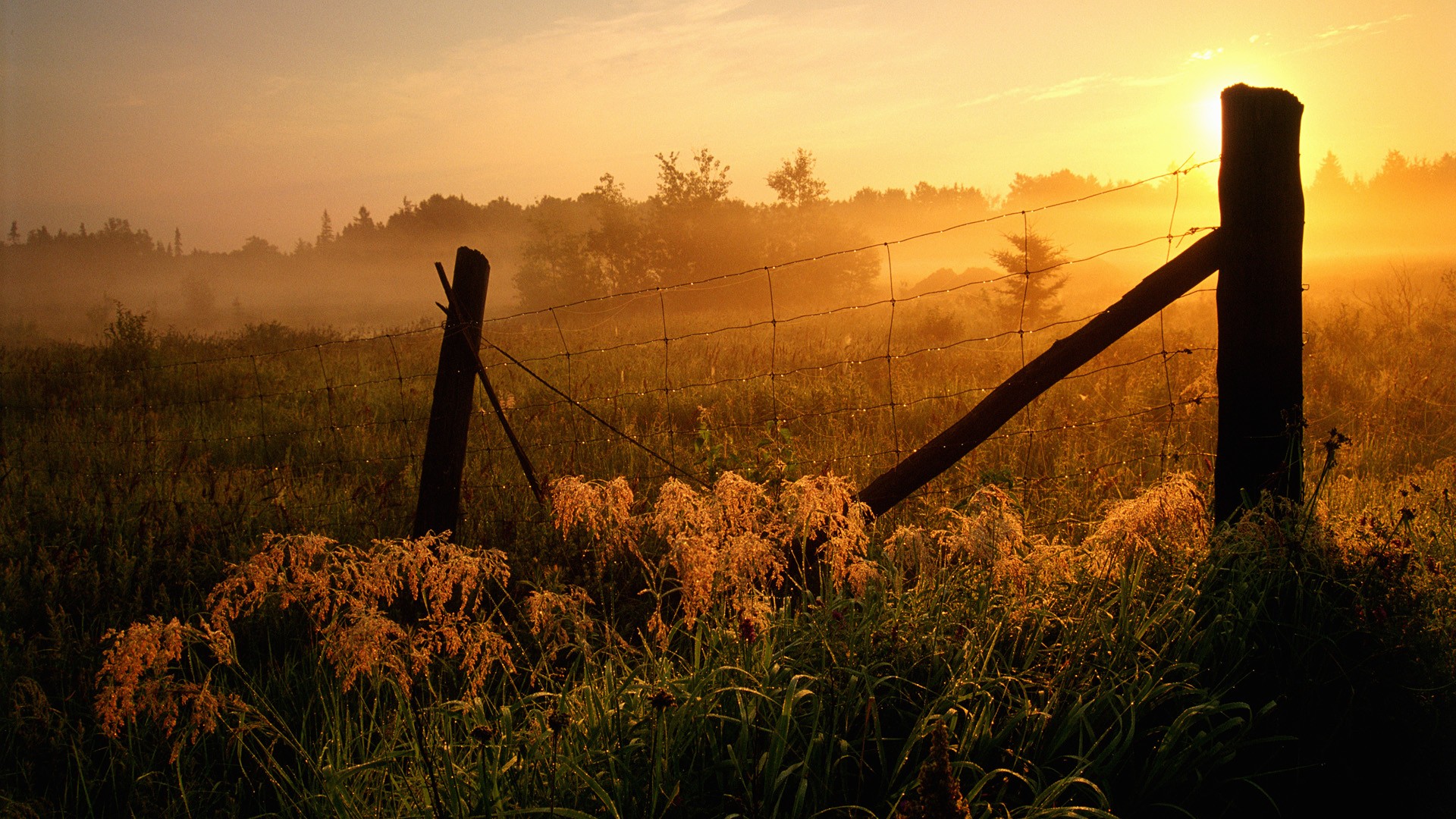 Sunrise HD Wallpaper Background Image 1920x1080 ID Sunrise HD Wallpaper Background Image 1920x1080 ID