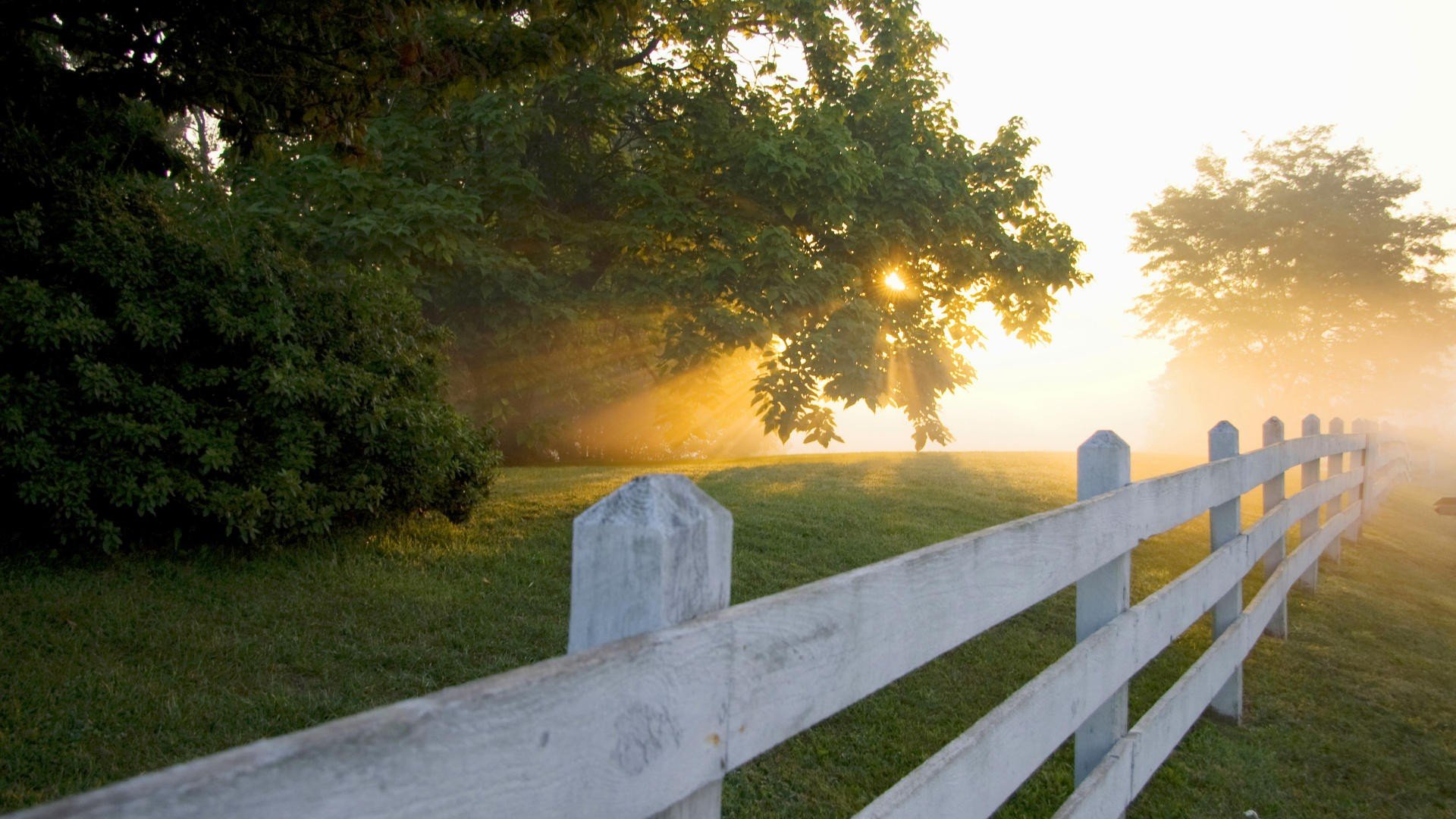 Download Man Made Fence Hd Wallpaper