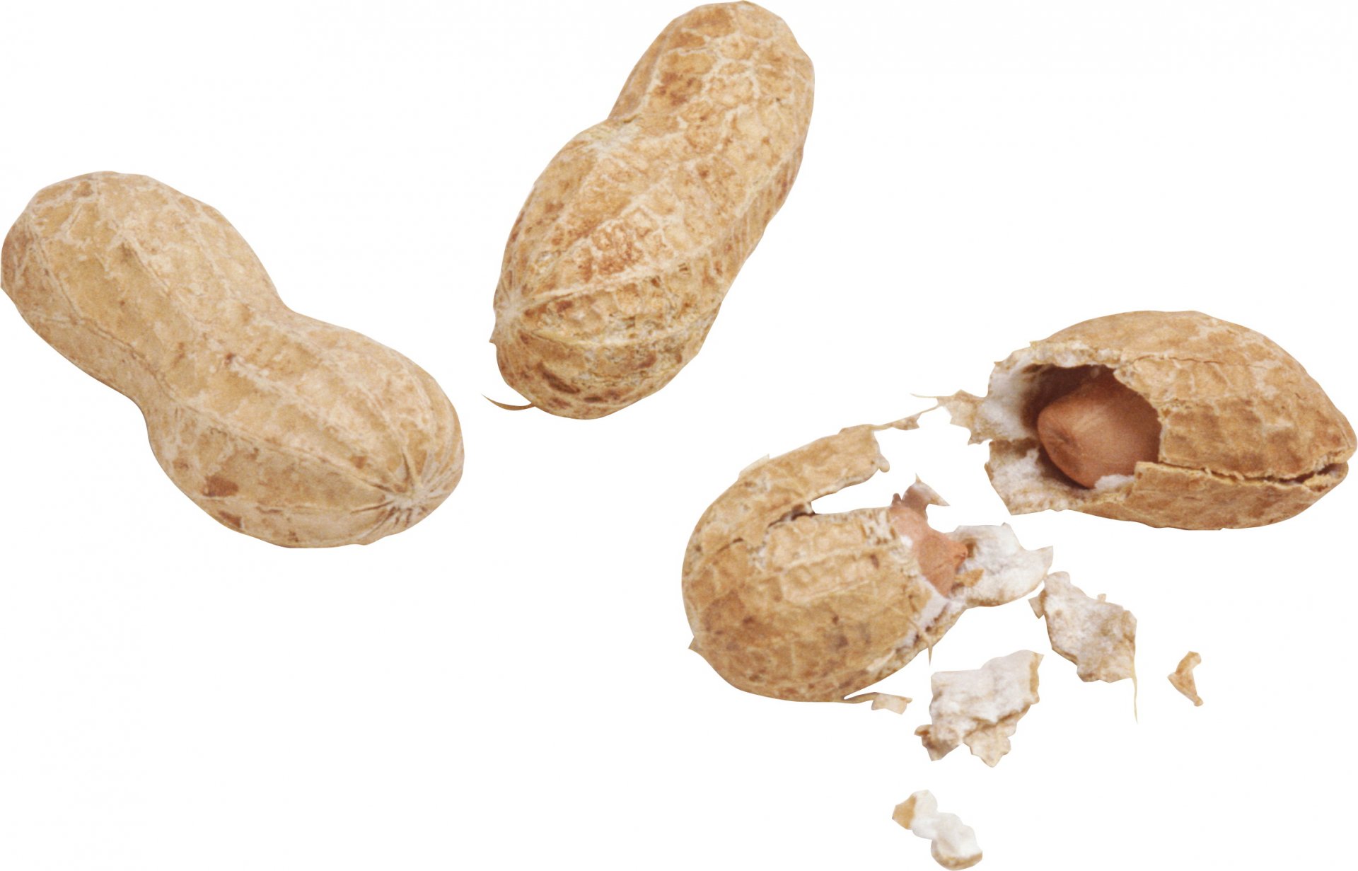 HD desktop wallpaper featuring close-up of whole and cracked peanuts with shells, highlighting natural texture and details of the food item.