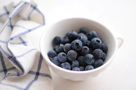 food blueberry HD Desktop Wallpaper | Background Image