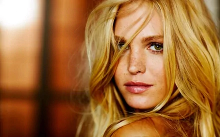 A stunning HD desktop wallpaper featuring celebrity Erin Heatherton, showcasing her captivating green eyes and flowing blonde hair against a warm, blurred background.