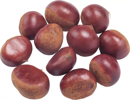 food chestnut HD Desktop Wallpaper | Background Image