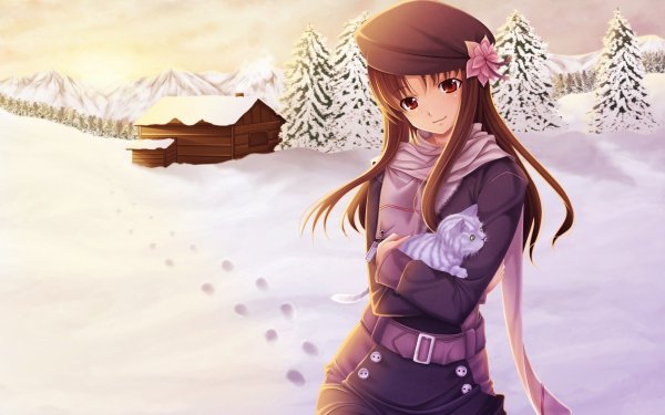 Anime Girl Winter Kitten HD Wallpaper | Background Image