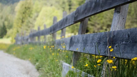man made fence HD Desktop Wallpaper | Background Image