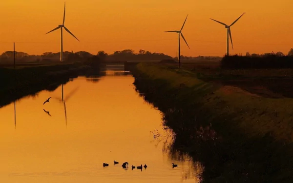 HD desktop wallpaper showing a man-made wind turbine farm at sunset reflected in a calm river with birds swimming in the foreground.