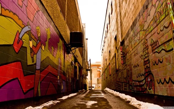 HD desktop wallpaper featuring a narrow man-made alley with colorful graffiti art on brick walls under natural lighting.