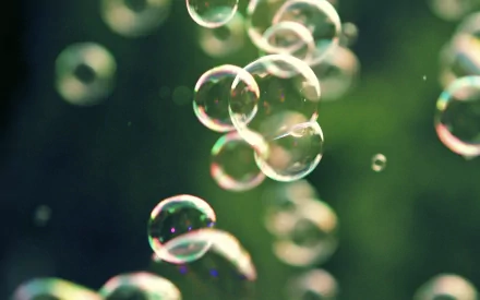 A captivating HD desktop wallpaper featuring a collection of iridescent bubbles floating against a soft, blurred background, creating a serene and dreamy atmosphere.