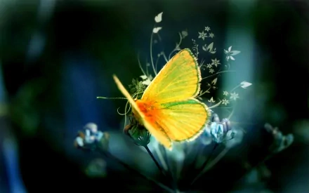 A vibrant yellow butterfly delicately perched on a flower, captured in stunning HD. This image makes a beautiful desktop wallpaper and background.