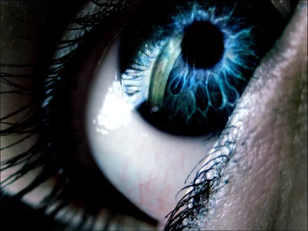 Close-up photography of a striking blue eye with detailed iris and eyelashes, designed as an HD PC desktop wallpaper and background featuring people.