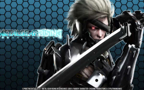 Raiden (Metal Gear) video game Metal Gear Rising: Revengeance HD Desktop Wallpaper | Background Image