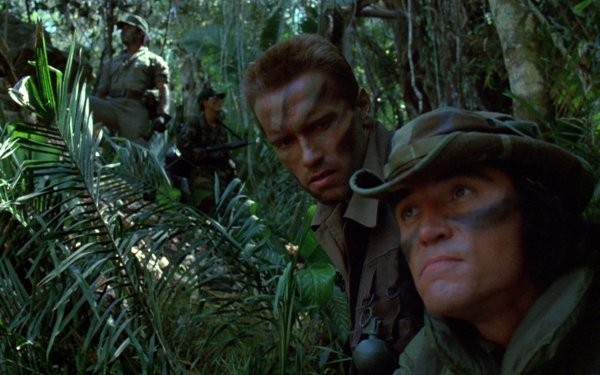 Movie Predator Arnold Schwarzenegger HD Wallpaper | Background Image