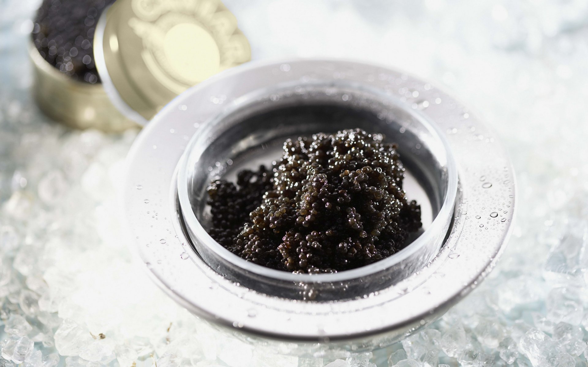 HD PC desktop wallpaper featuring a close-up of glossy black caviar in a metal tin surrounded by crushed ice, highlighting luxury food and gourmet delicacy.
