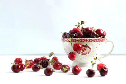 HD desktop wallpaper featuring a white cup filled with fresh cherries and additional cherries scattered around on a clean white surface, highlighting vibrant red fruit.