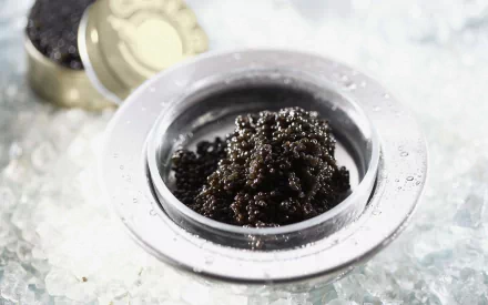 HD PC desktop wallpaper featuring a close-up of glossy black caviar in a metal tin surrounded by crushed ice, highlighting luxury food and gourmet delicacy.
