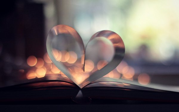 Man Made Book HD Wallpaper | Background Image