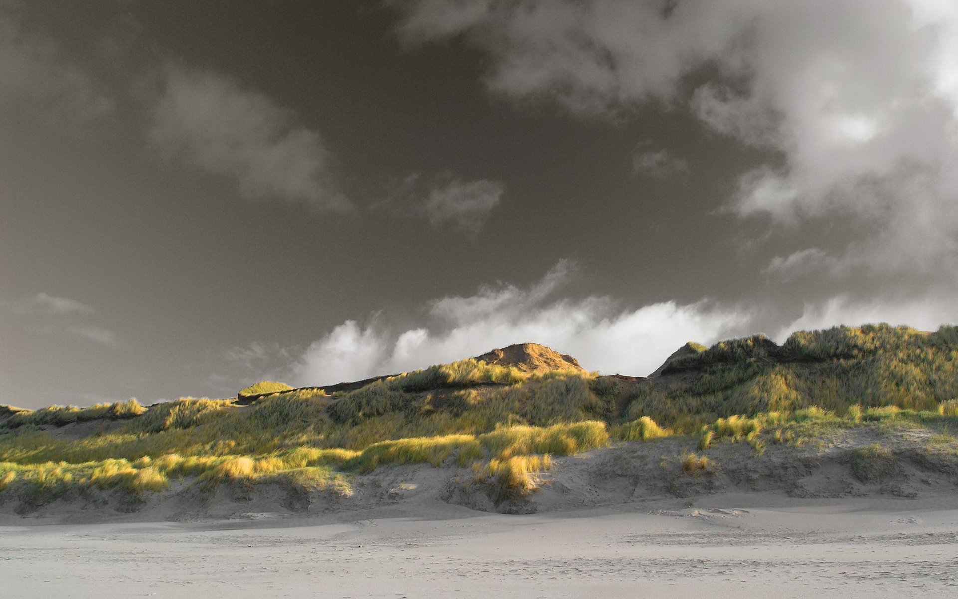 Download Nature Beach HD Wallpaper