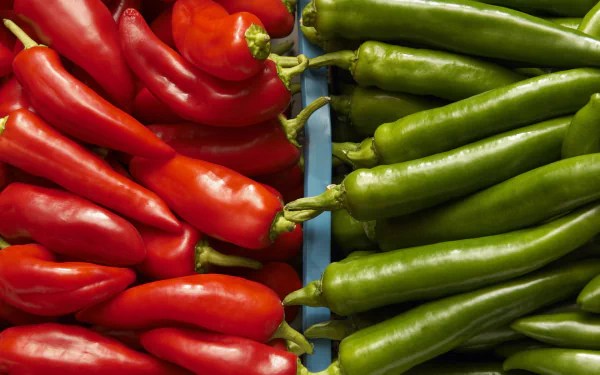 HD desktop wallpaper featuring vibrant red and green peppers arranged side by side, highlighting their fresh texture and vivid colors.