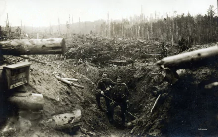 Two soldiers stand in a trench amidst a desolate, war-torn landscape from World War I, surrounded by fallen trees and debris, evoking the intensity of military life during the conflict.
