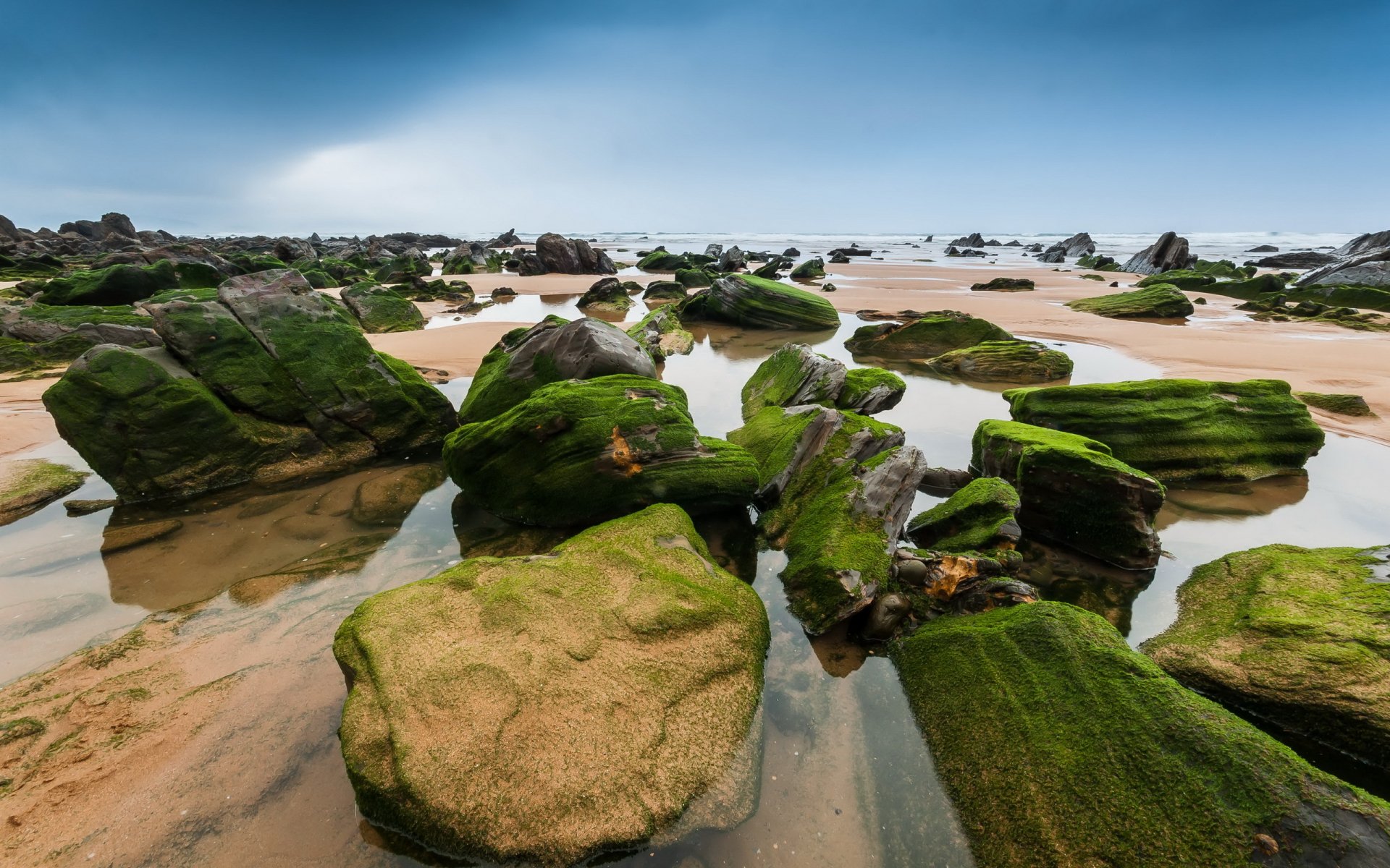 HD PC desktop wallpaper featuring a serene coastal scene with moss-covered rocks and calm tidal pools under a blue sky, showcasing natural beauty.