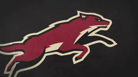  Phoenix Coyotes