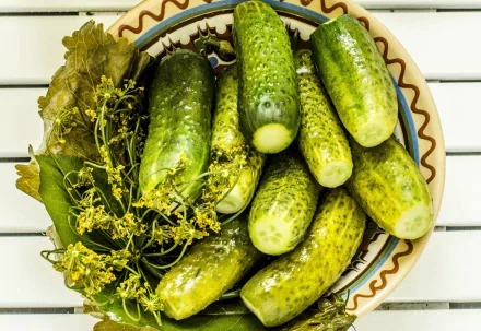 HD desktop wallpaper featuring fresh green cucumbers arranged on a decorative plate, highlighting the natural textures of food and produce.