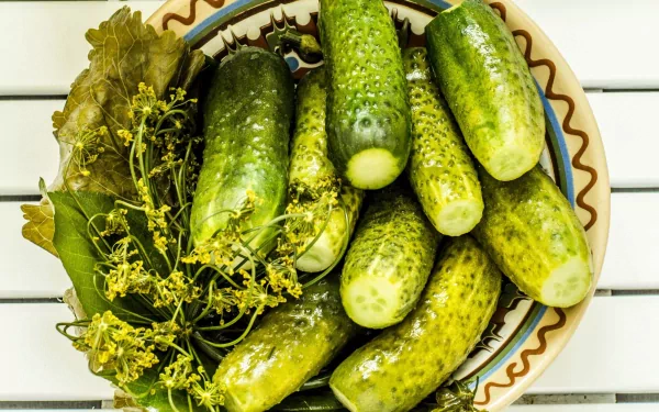 HD desktop wallpaper featuring fresh green cucumbers arranged on a decorative plate, highlighting the natural textures of food and produce.