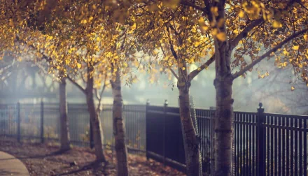 man made fence HD Desktop Wallpaper | Background Image