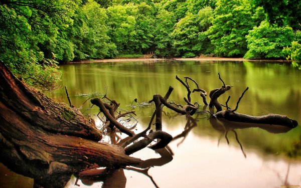 Earth River HD Wallpaper | Background Image