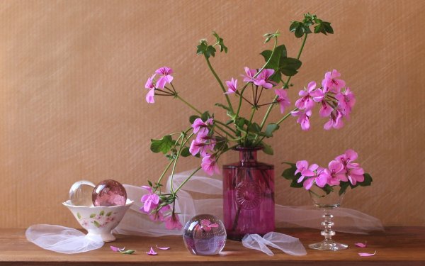 Photography Still Life Flower Vase Pink Flower HD Wallpaper | Background Image