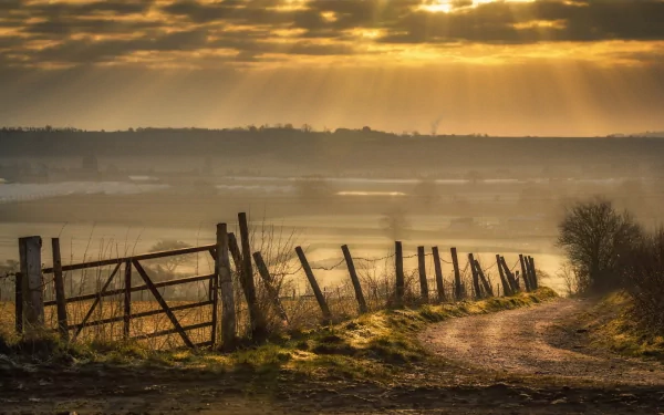 A tranquil landscape featuring a rustic fence along a dirt path, bathed in warm golden light from a sunset, creating a serene natural backdrop for HD desktop wallpaper.