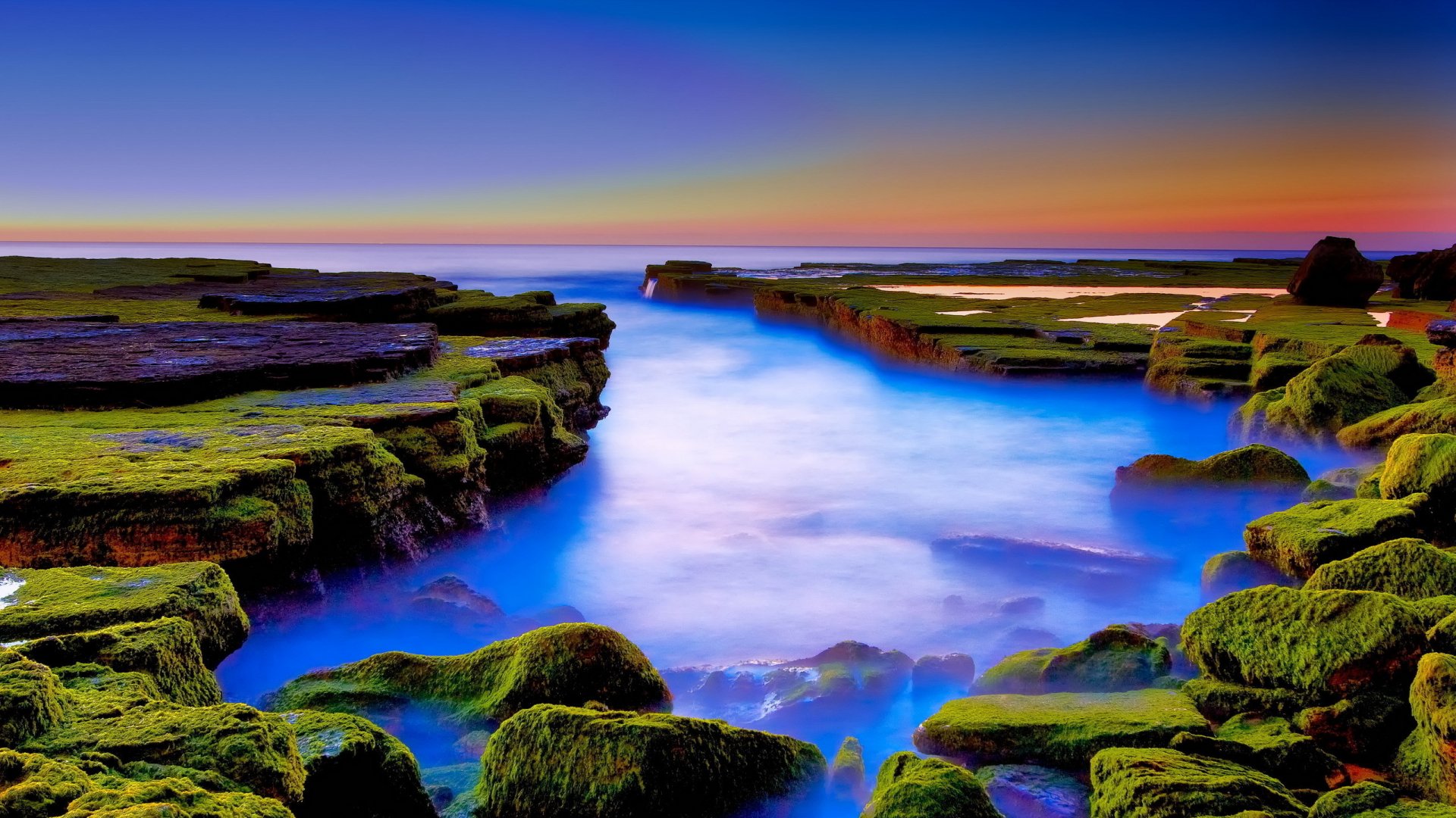 A serene coastal scene showcasing vibrant greenery along the water's edge, with smooth ocean waves and a colorful sunset in the background. An ideal nature background for your desktop.