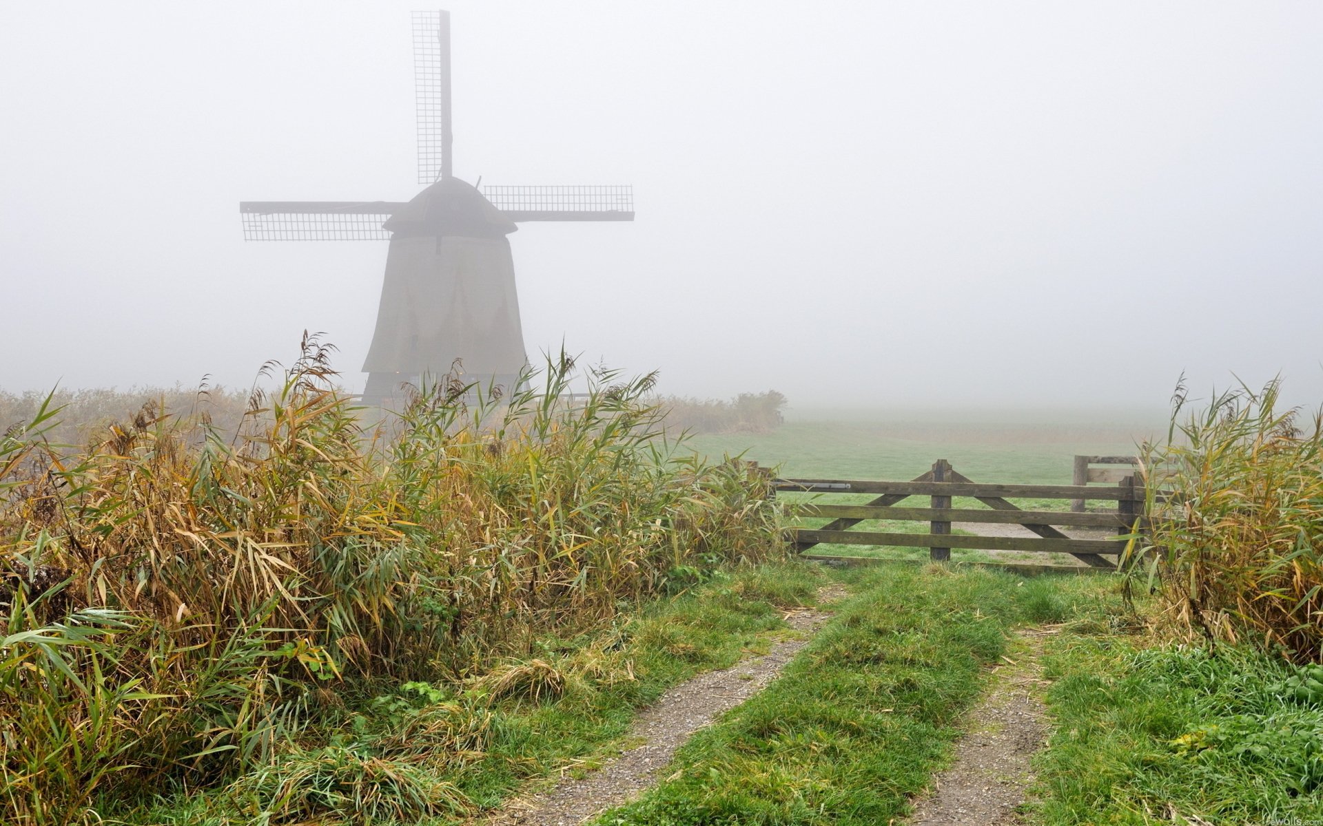 Moulin à Vent Fond d’écran HD | Arrière-Plan | 2560x1600 | ID:417349