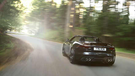 vehicle Jaguar F-Type HD Desktop Wallpaper | Background Image