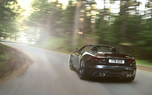 vehicle Jaguar F-Type HD Desktop Wallpaper | Background Image