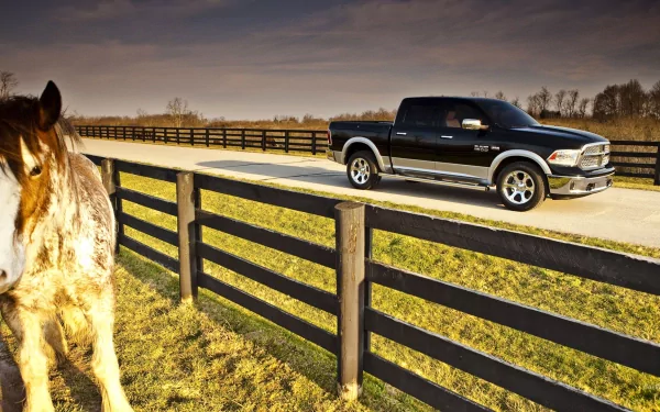 vehicle Dodge Ram 1500 HD Desktop Wallpaper | Background Image