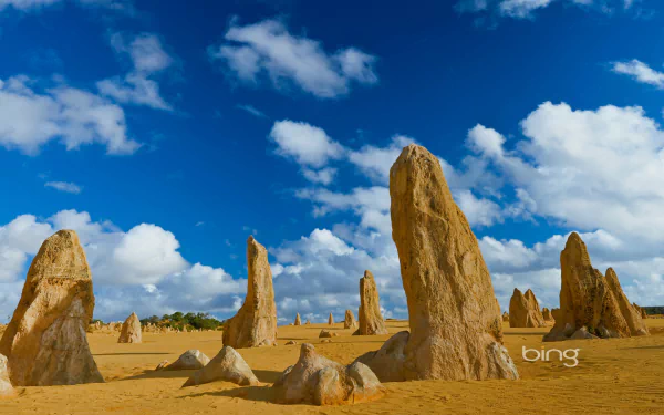  The Pinnacles Nambung National Park Western Australia