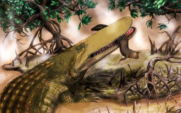 Animal Dinosaur Dinosaurs HD Wallpaper | Background Image