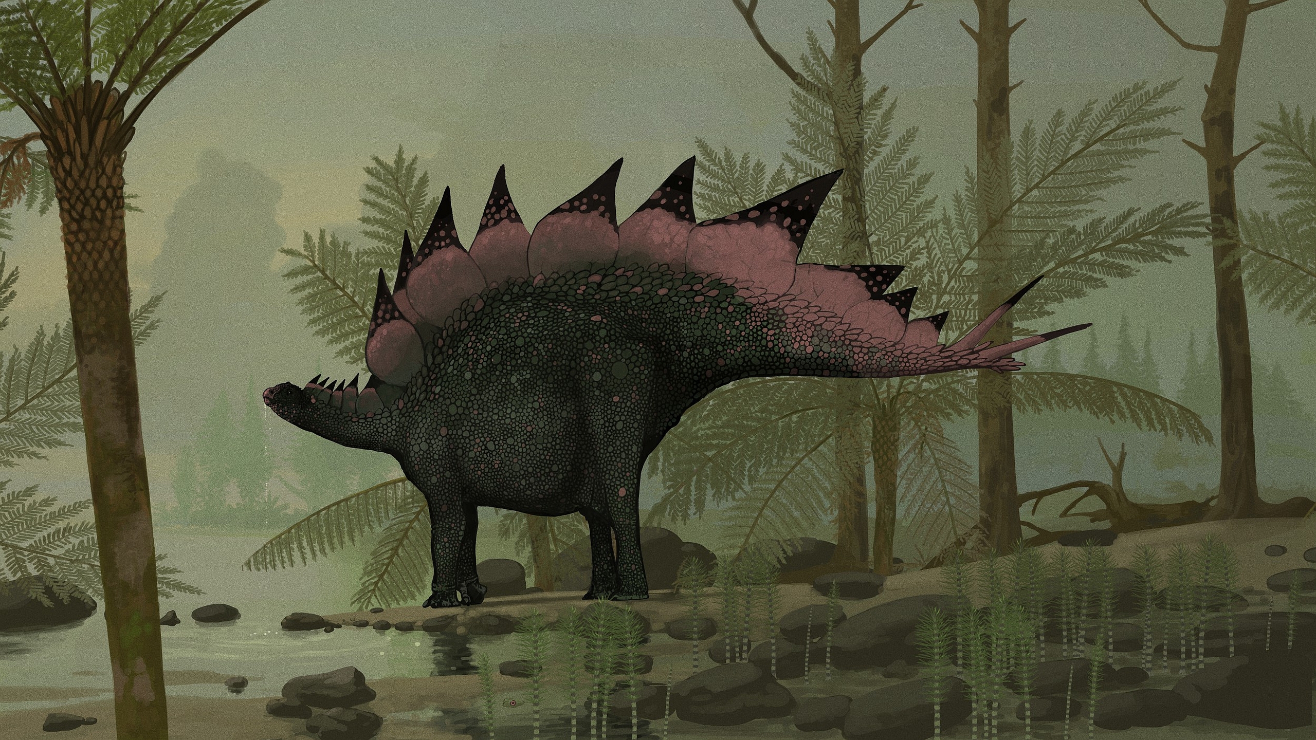 ok google stegosaurus