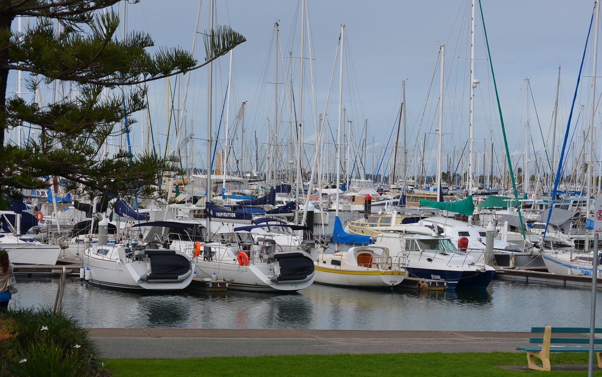 HD desktop wallpaper showing a busy marina with sailboats docked in Brisbane bay, calm ocean water reflecting the masts against a clear sky.