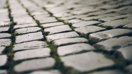 photography floor HD Desktop Wallpaper | Background Image