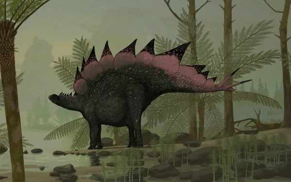 Animal stegosaurus HD Desktop Wallpaper | Background Image