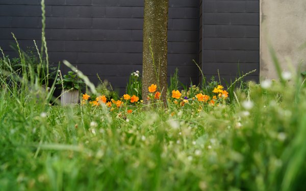 Man Made Garden Tree Flower Grass HD Wallpaper | Background Image