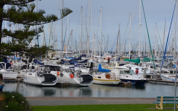 Vehicles Sailboat Boat Sailing Water Ocean Bay Brisbane HD Wallpaper | Background Image